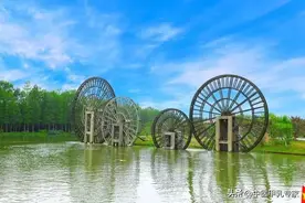 甲减不是病，是被你体内的“水草”拖累了，不卖方子只讲干货！图片
