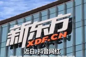 “铁头”掉粉也要举报新东方！家长急，网友气！教育局和俞敏洪最新回应图片