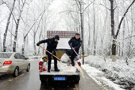 融雪剂之殇：吉林暴雪路面结冰，为何不用融雪剂？融雪剂有何危害图片