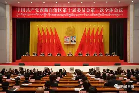 中国共产党西藏自治区第十届委员会第三次全体会议在拉萨举行图片