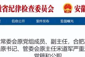 合肥市人大常委会原副主任宋道军被双开”图片