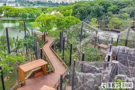 武汉动物园有大变化？过去是看动物，现在是去主人家做客！图片