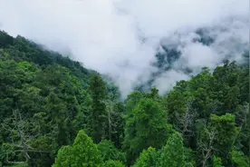 好消息！杭州火车东站至天目山、天目大峡谷专线恢复运行啦图片