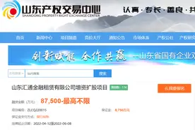 山东首家金融租赁公司挂牌引战投，资产规模低于1000亿“免谈”图片