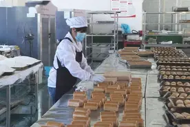 投资在10万以内的加工厂，这几种适合在农村干，有钱赚！图片