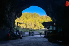 重庆深山发现一山洞，一男子在洞中创业，竟轻松年入70万图片