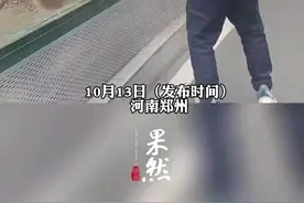 游客蹦跳着逗猴子时，结果被猴子神同步模仿图片