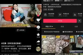 吃完的玉米芯先别扔，90后大学生靠它种蘑菇带富全村获央视点赞图片