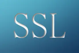 教你如何申请永久免费 SSL 证书图片