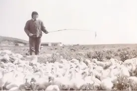 「知青往事」我的1977年图片