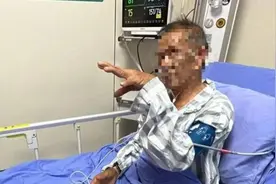 扔石头惹怒眼镜王蛇！七旬老伯被追咬，两招捡回一命，医生：万幸图片