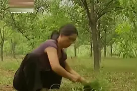 河南一女子自称40年不睡觉，睡眠专家监控48小时，答案终于找到了图片