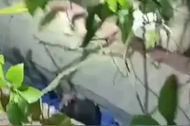 湖南岳阳 男孩捡书包时不慎踩空，人和书包都困墙缝图片