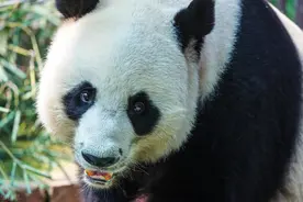 黑眼圈=没睡好？万万没想到，可能与这些疾病有关…图片