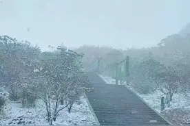 罕见！立夏后，多地竟下起了大雪图片