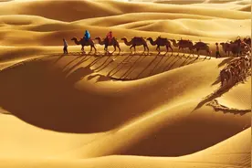 一年一个深圳，这是中国向偌大的沙漠收复失地的速度图片