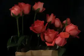 我的妈妈是位豪门保姆！（99）图片