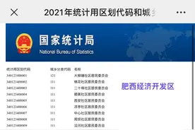肥西经开区竟为合肥市主城区？图片