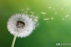 20-30 岁怎么规划自己的人生呢？图片