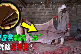 同样是动物皮，为啥猪皮只能做肉冻，驴皮却能包装成阿胶？图片