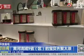 （视频） 拆盲盒啦！黄河流域9省（区）的宝贝齐聚太原图片