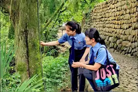 永顺：检察建议助力古树名木保护图片