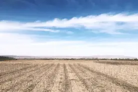只要人勤劳，农村是个天然的聚宝盆摇钱树，取之不尽，用之不竭图片