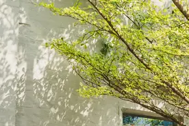 熬不下去的时候，读读苏轼这6首诗词！图片
