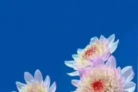 这个关于补发拖欠教师近30年工资的回复让人感慨万千，你那里呢？图片