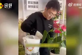 这届年轻人一个月买走300吨羊粪图片