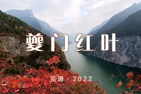 徒步三峡之巅｜奉节夔门红叶攻略(观赏时间+地点+行程)图片