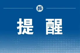 袜子到底有多脏？能和内裤一起洗吗？图片