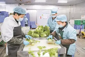 香港加油！被一批批纷至沓来的驰援物资暖到了，香港同胞：祖国才是我们最坚强的后盾图片