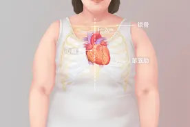 人的心脏在左边还是右边图片