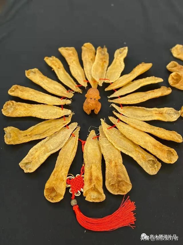 花胶鲍鱼煲还是炖好 2026年花胶鲍鱼煲还是炖好一点