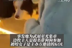 女子未经允许摸狗被咬伤：当事人向狗主人索赔图片