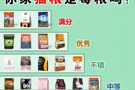 这些“毒”猫粮你家猫咪还在吃？赶紧丢掉吧图片