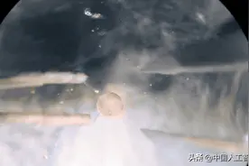 活体机器人学会生孩子：AI进化算法加持，已繁殖到「曾孙」图片