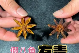 买八角，要分清“直角”还是“钩角”，假八角有毒，看完别再乱买图片