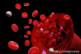 化疗后吃什么可以增加血小板？化疗的人吃什么补血？图片