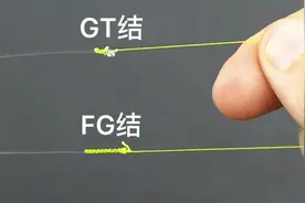 GT结与FG结分的清楚吗图片