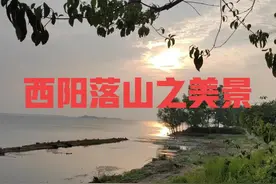 人的九个等级图片