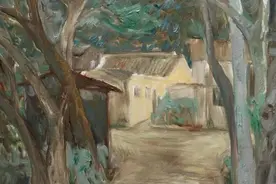 故乡的野鸽子图片