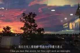 "你说向日葵是怎么熬过没有太阳的夜晚"文案图片
