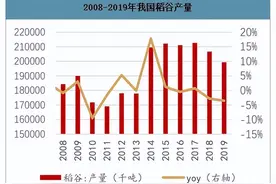 有没有人吃过袁隆平的杂交水稻？是什么味道？图片