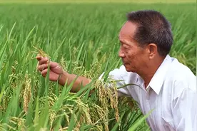 带领中国走向繁荣的七大伟人，正是因为他们，才有了现在的新中国图片