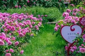 写给心里的爱人：无缘夫妻，你也是一辈子的深情图片