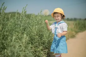 2023年萧山区公办幼儿园收费标准有变！学费最高每月上涨200元！图片