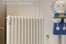 注水电暖气和空调哪个省电？图片