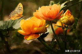 婆婆帮小儿带娃6年，病倒让大儿媳辞职，儿媳：月薪2万护工费2万图片